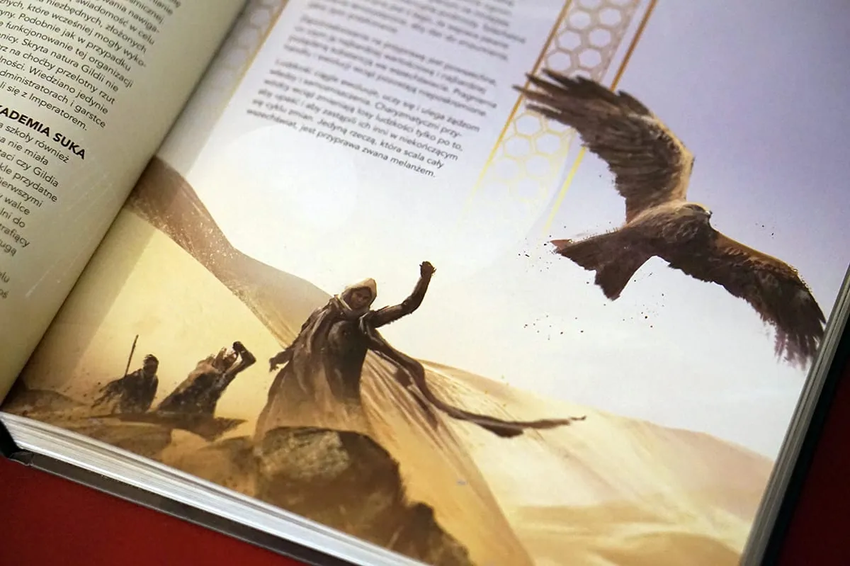 Diuna: Przygody w Imperium — gra na stole Angry BoardGamer, zdjęcie 14