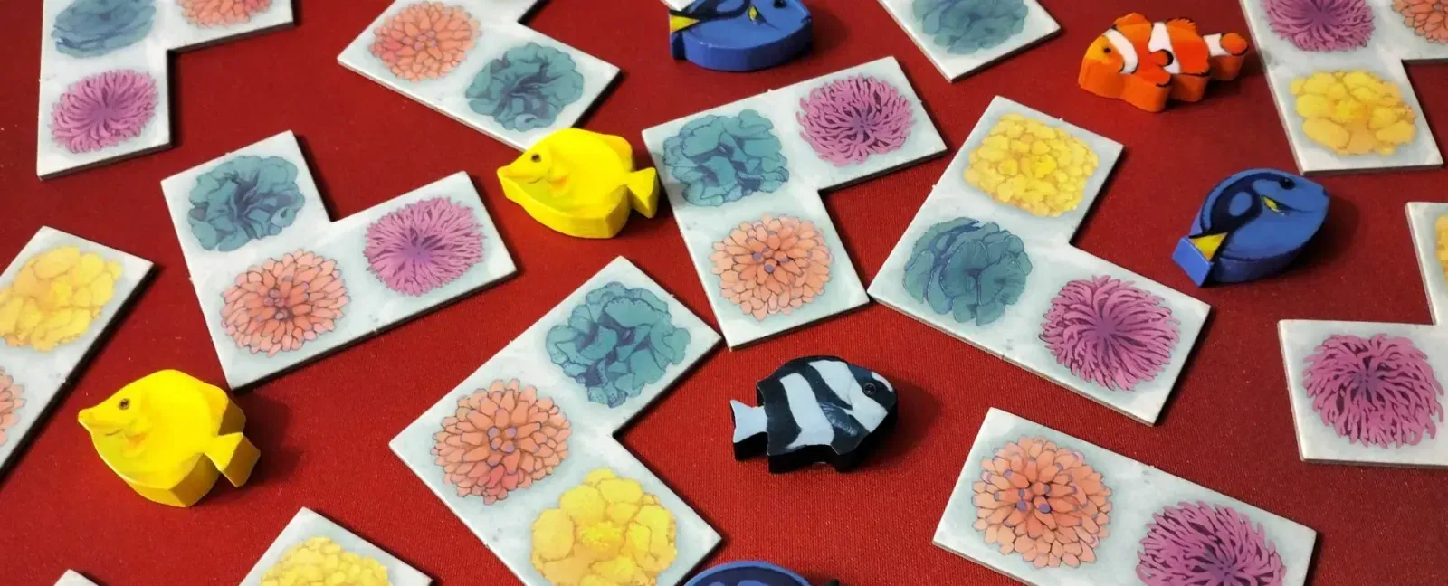 Rafa — gra na stole Angry BoardGamer, zdjęcie 1