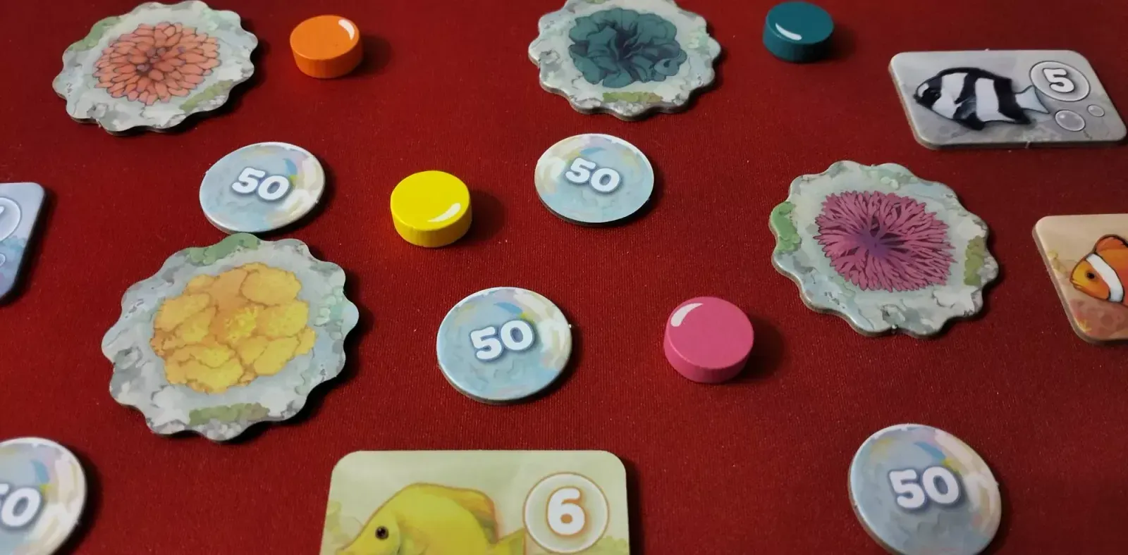 Rafa — gra na stole Angry BoardGamer, zdjęcie 4