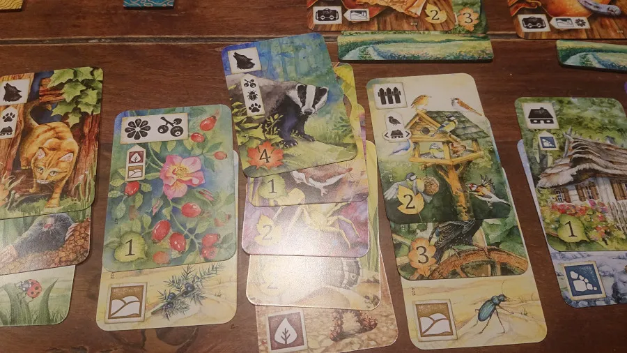 Łąka — gra na stole Angry BoardGamer, zdjęcie 4