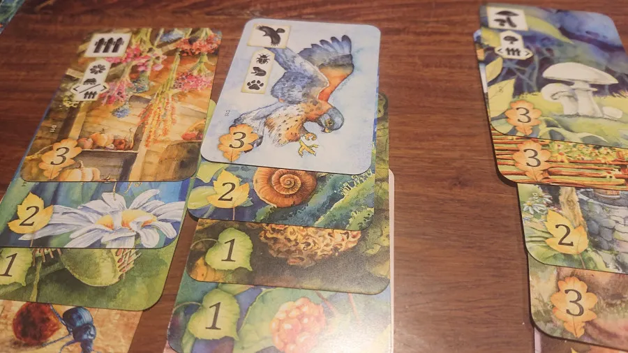 Łąka — gra na stole Angry BoardGamer, zdjęcie 7