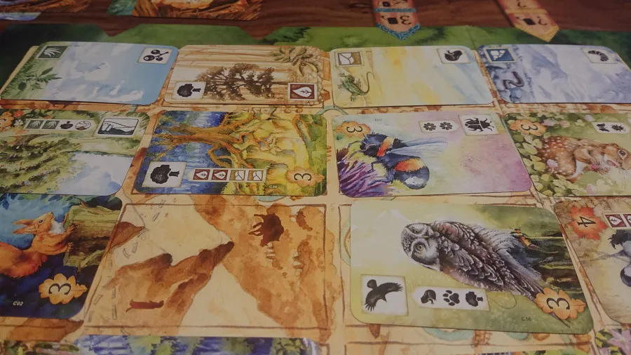 Łąka — gra na stole Angry BoardGamer, zdjęcie 8